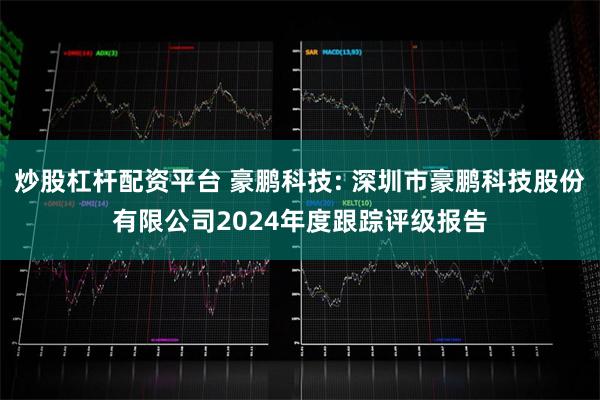 炒股杠杆配资平台 豪鹏科技: 深圳市豪鹏科技股份有限公司2024年度跟踪评级报告