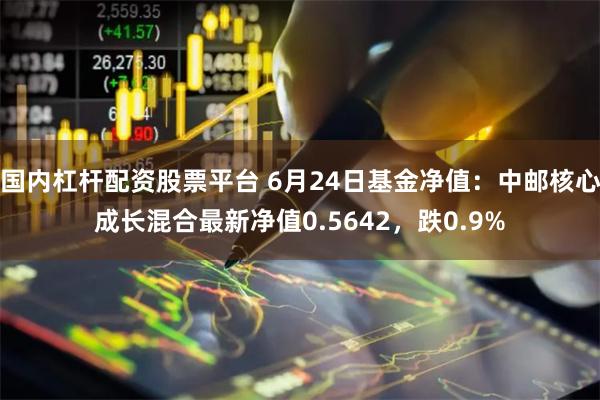 国内杠杆配资股票平台 6月24日基金净值：中邮核心成长混合最新净值0.5642，跌0.9%