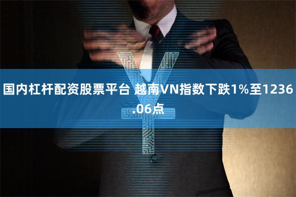 国内杠杆配资股票平台 越南VN指数下跌1%至1236.06点