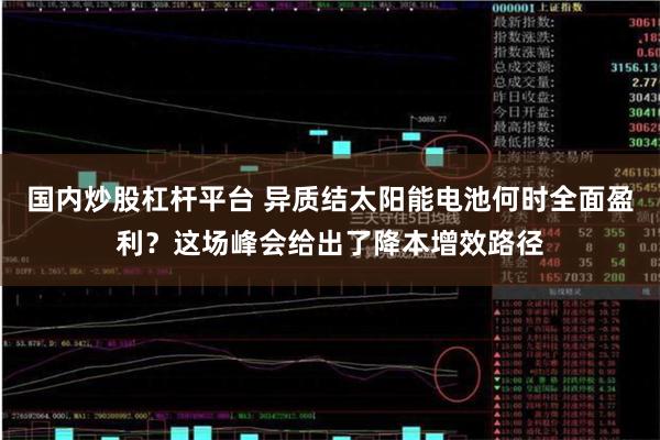 国内炒股杠杆平台 异质结太阳能电池何时全面盈利？这场峰会给出了降本增效路径