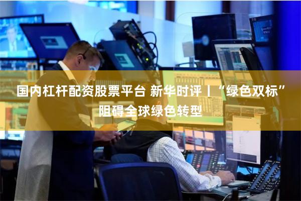 国内杠杆配资股票平台 新华时评丨“绿色双标”阻碍全球绿色转型