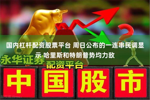 国内杠杆配资股票平台 周日公布的一连串民调显示 哈里斯和特朗普势均力敌