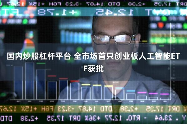 国内炒股杠杆平台 全市场首只创业板人工智能ETF获批