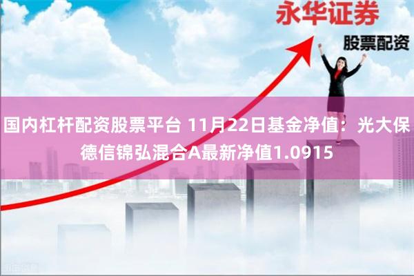 国内杠杆配资股票平台 11月22日基金净值：光大保德信锦弘混合A最新净值1.0915