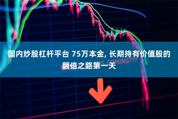 国内炒股杠杆平台 75万本金, 长期持有价值股的翻倍之路第一天